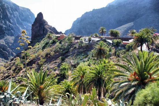 Marody Tenerife House El Medano  Exterior photo